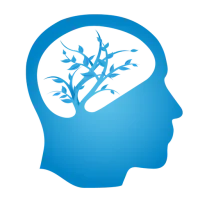 The Accomplished Brain App